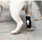 Fixed recovery dogleg cover